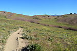 photo thumbnail #10