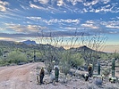 photo thumbnail #14