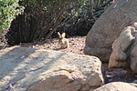 photo thumbnail #12