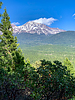 2021-05-08 :2: Spring Hill Trail - Mount Shasta :: mdfabbrini
