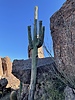 photo thumbnail #4