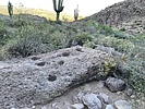 photo thumbnail #6