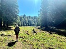 photo thumbnail #6