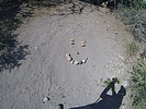 photo thumbnail #11