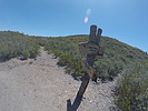 photo thumbnail #13