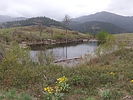 photo thumbnail #6
