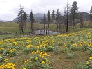 photo thumbnail #7