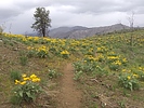 photo thumbnail #8