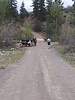 photo thumbnail #12