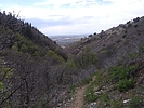 photo thumbnail #6