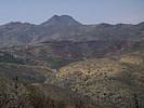 recent photo