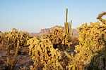 photo thumbnail #8