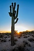 photo thumbnail #15