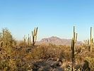 photo thumbnail #7