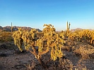 photo thumbnail #3