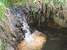 photo thumbnail #9