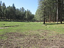 photo thumbnail #10
