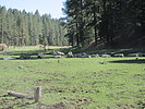 photo thumbnail #11