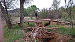 photo thumbnail #3