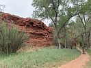 photo thumbnail #8