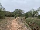 photo thumbnail #10