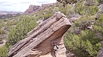 photo thumbnail #12
