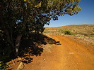photo thumbnail #7