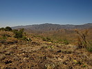 photo thumbnail #15