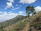 photo thumbnail #8