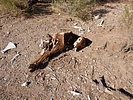 photo thumbnail #7