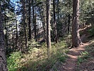photo thumbnail #8