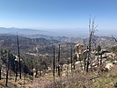 photo thumbnail #11