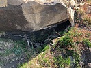 Featured Detail Photo