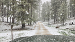 photo thumbnail #7