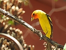 photo thumbnail #7