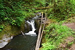photo thumbnail #3