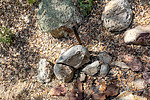 photo thumbnail #15
