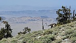 2021-05-14 :2: Hayford Peak - Sheep Mountains :: DixieFlyer