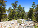 2021-05-14 :2: Hayford Peak - Sheep Mountains :: DixieFlyer