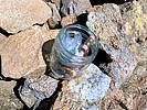photo thumbnail #12