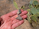 photo thumbnail #12