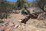 photo thumbnail #13
