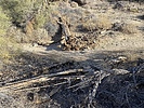 photo thumbnail #9