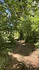 photo thumbnail #7