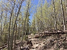 photo thumbnail #3