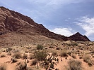 photo thumbnail #12