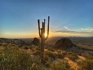 photo thumbnail #11