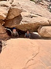 photo thumbnail #10