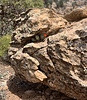 photo thumbnail #2