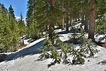 photo thumbnail #11